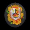 Escudo Colegio Abogados de Malaga en color fondo negro